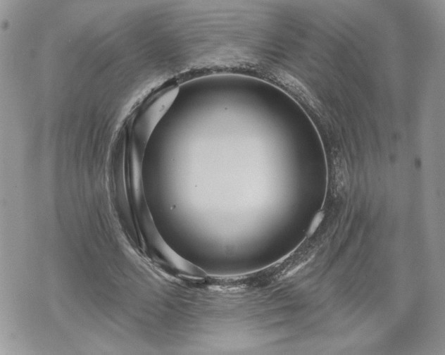 X0000070400680200606161346