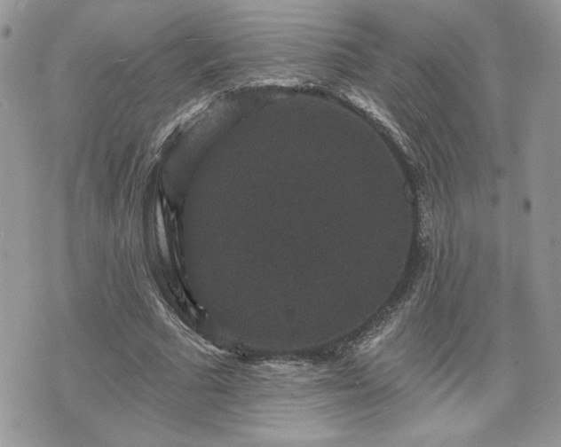 X0000070400681200606161346