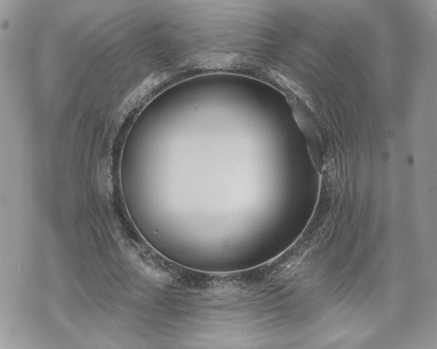 X0000070400682200606161346