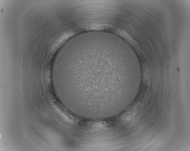 X0000070400683200606161346