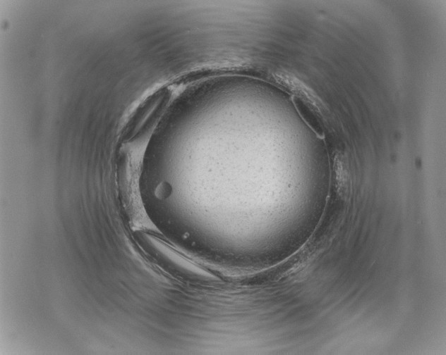 X0000070400684200606161346