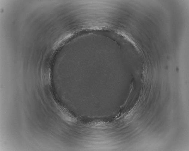 X0000070400685200606161346