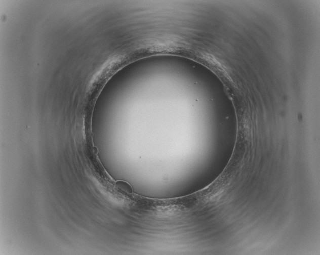 X0000070400686200606161346