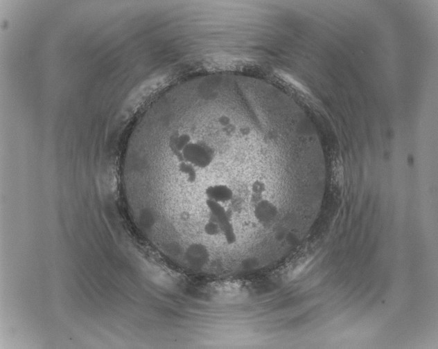 X0000070400687200606161346