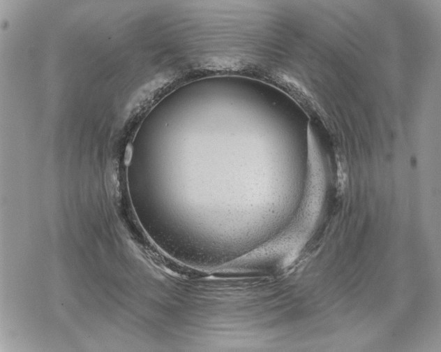 X0000070400688200606161346