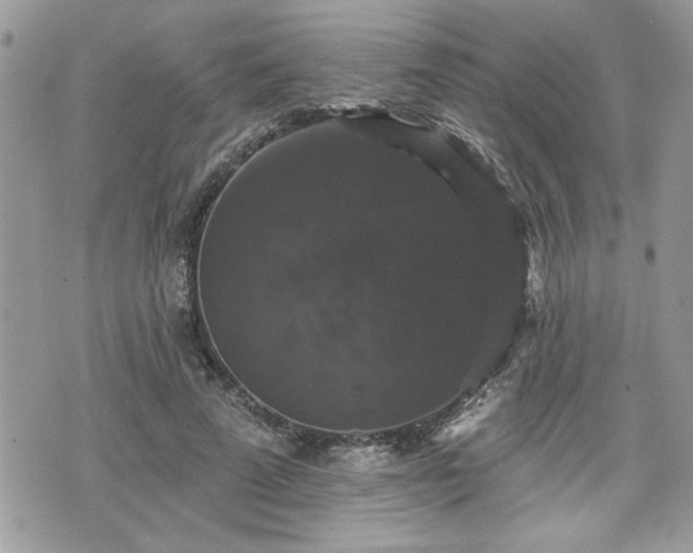 X0000070400689200606161346