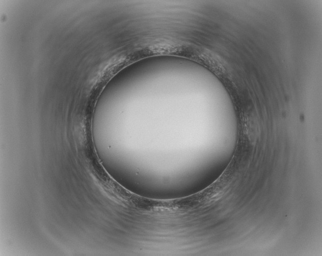 X0000070400690200606161346