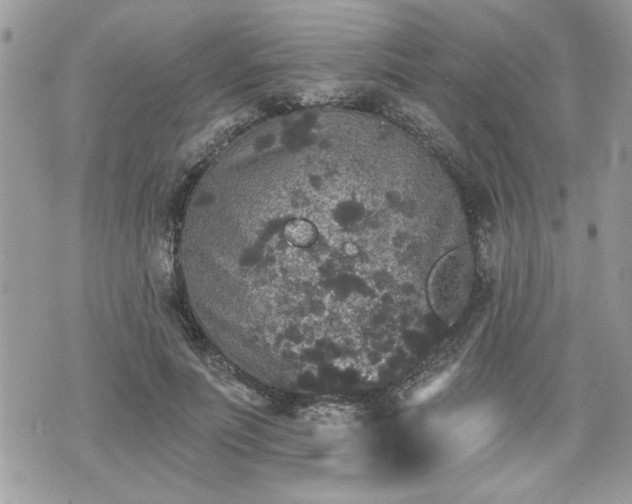 X0000070400691200606161346