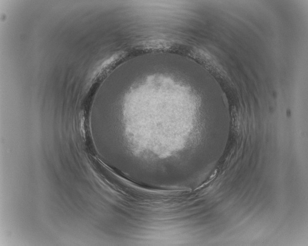 X0000070400692200606161346