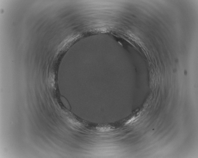 X0000070400693200606161346