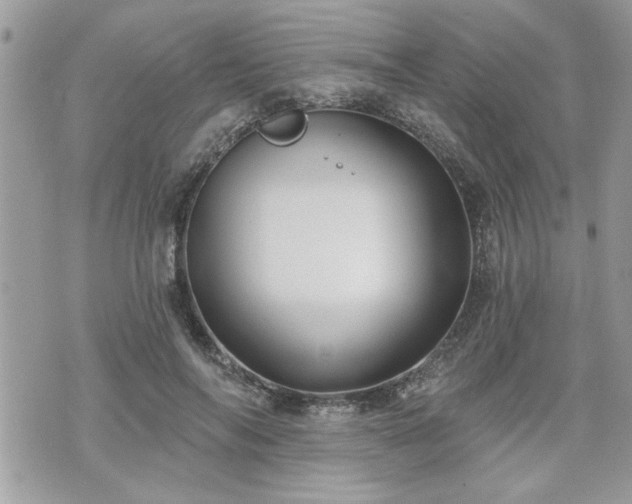 X0000070400694200606161346