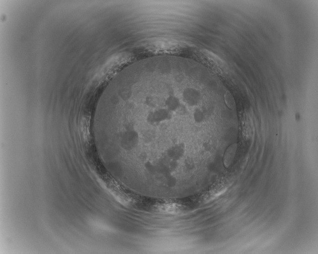 X0000070400695200606161346