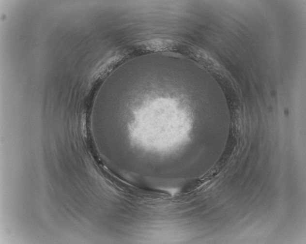 X0000070400696200606161346