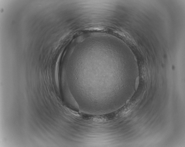 X0000070400697200606161346