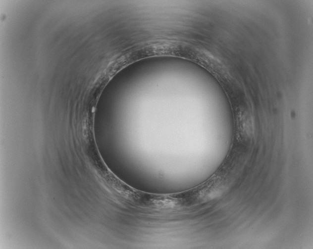 X0000070400698200606161346