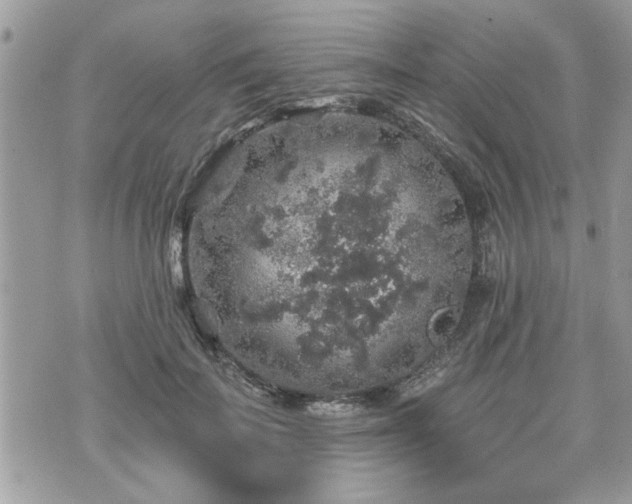 X0000070400699200606161346