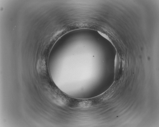 X0000070400700200606161346