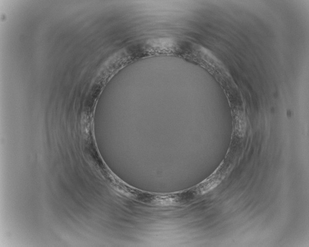 X0000070400701200606161346