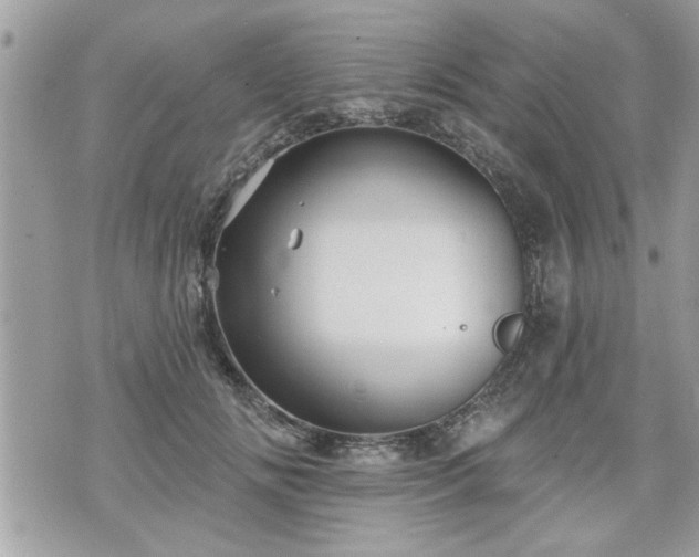 X0000070400702200606161346