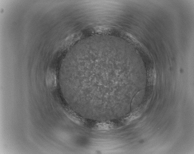 X0000070400703200606161346