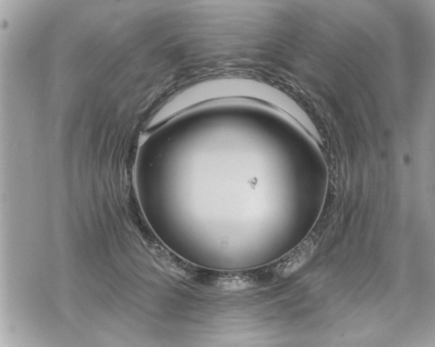 X0000070400704200606161346