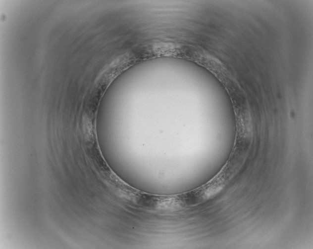 X0000070400705200606161346