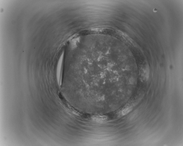 X0000070400707200606161346