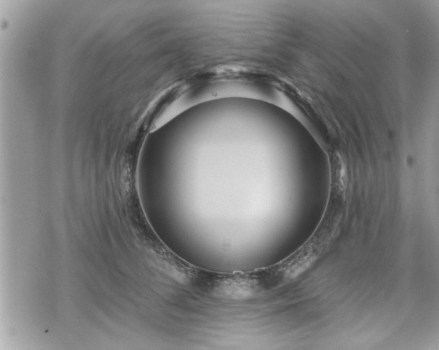 X0000070400708200606161345