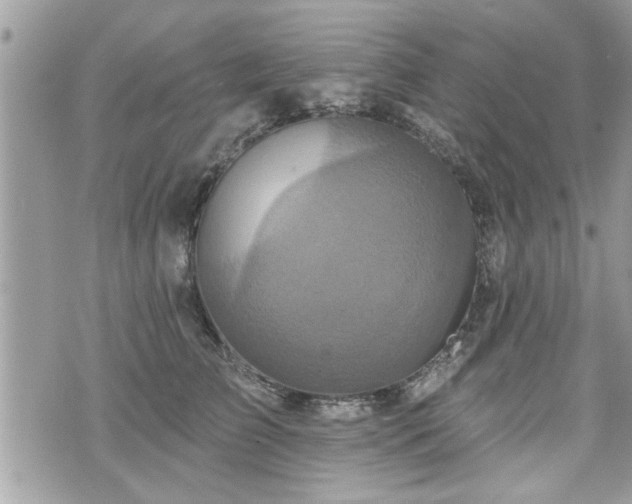 X0000070400709200606161345