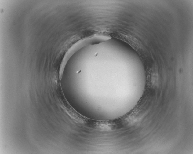 X0000070400710200606161345