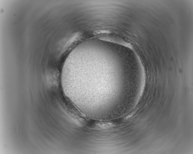 X0000070400712200606161345