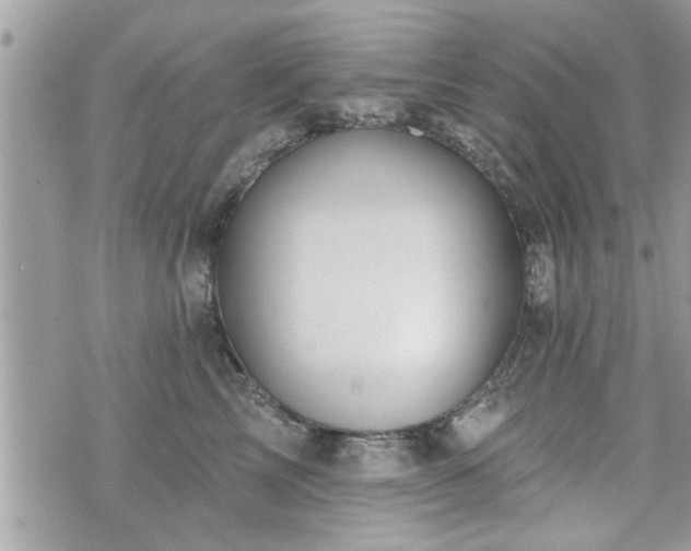 X0000070400713200606161345