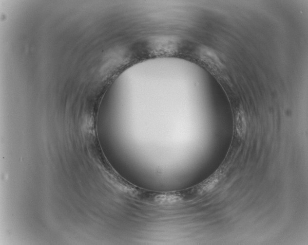 X0000070400714200606161345