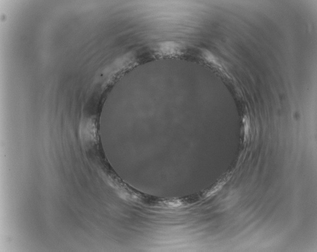 X0000070400715200606161345