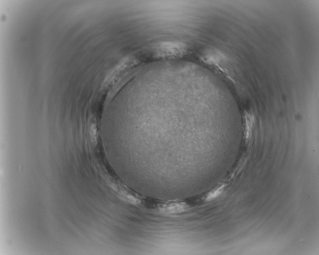 X0000070400716200606161345