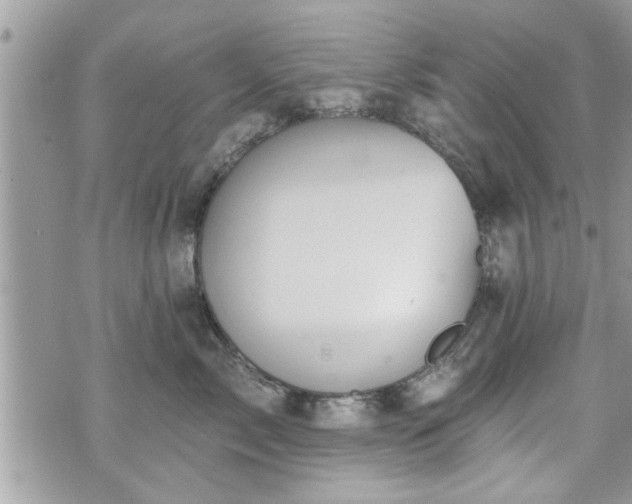 X0000070400717200606161345