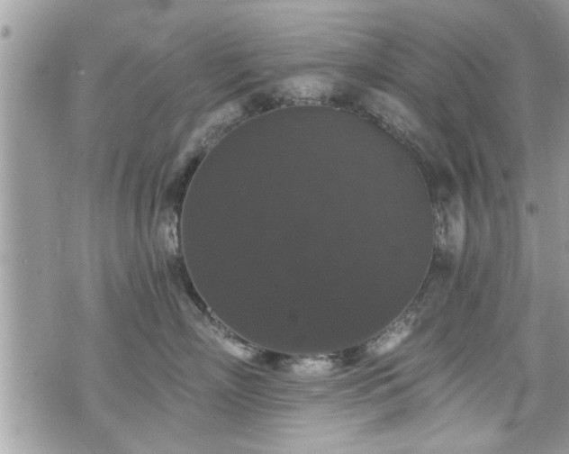 X0000070400718200606161345