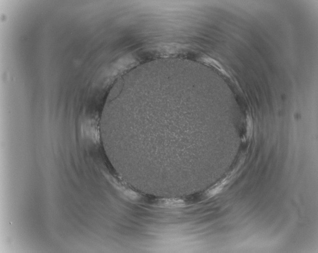 X0000070400719200606161345