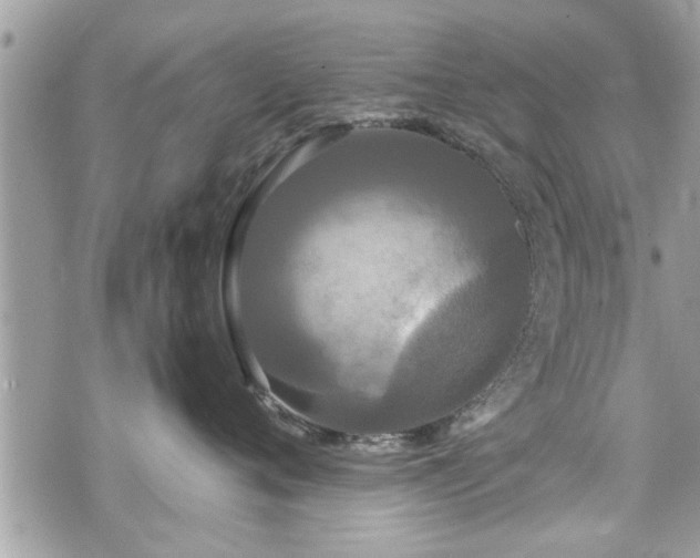 X0000070400720200606161345