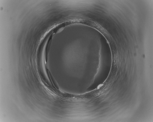 X0000070400722200606161344