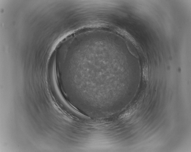 X0000070400724200606161344