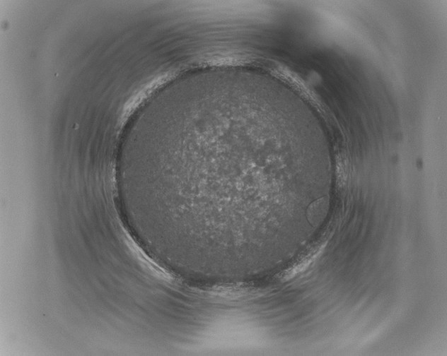 X0000070400725200606161344