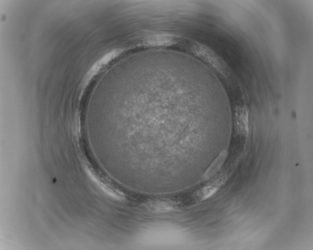 X0000070400726200606161344