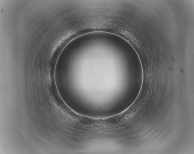 X0000070400727200606161344