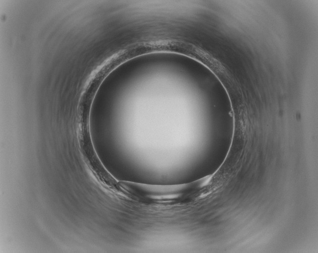 X0000070400728200606161344