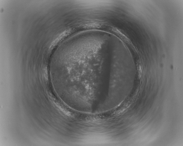 X0000070400729200606161344