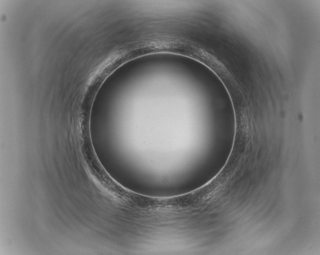 X0000070400730200606161345