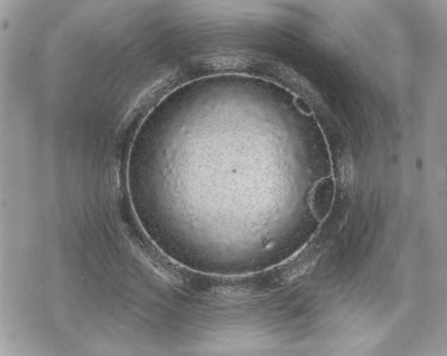 X0000070400733200606161345