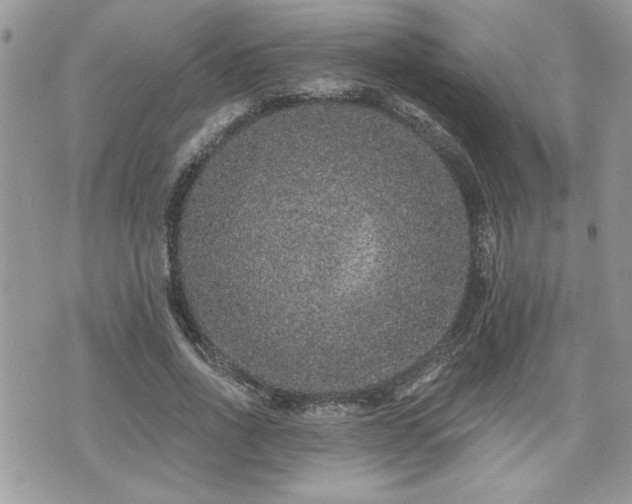 X0000070400734200606161345