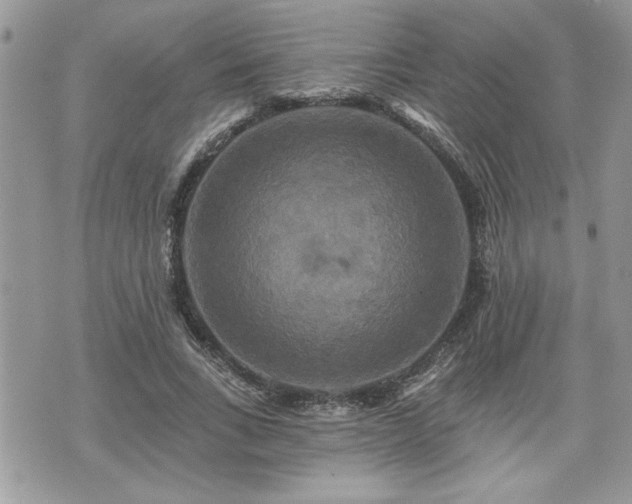 X0000070400735200606161345